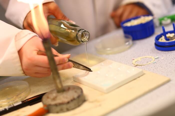 Notre Dame Pathway Applied Science Level 2