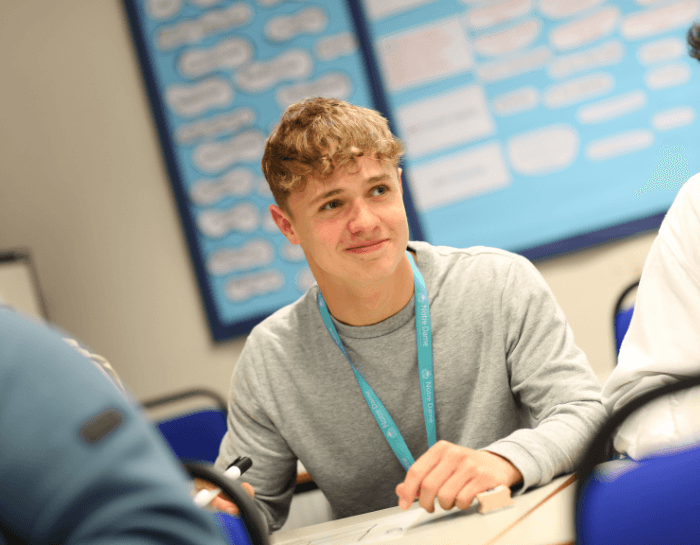 A-Level Economics